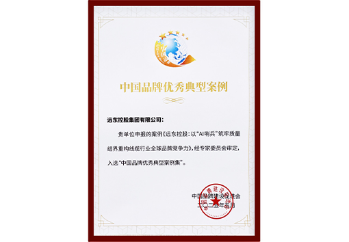 中国品牌优秀典型案例